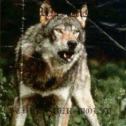 Wehrhammer : Schrei der Wölfe